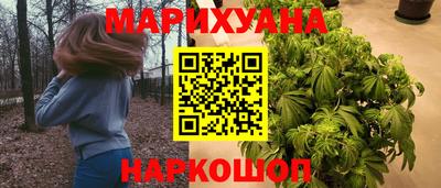 гашик Шебекино