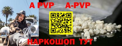 молекула духа Шелехов