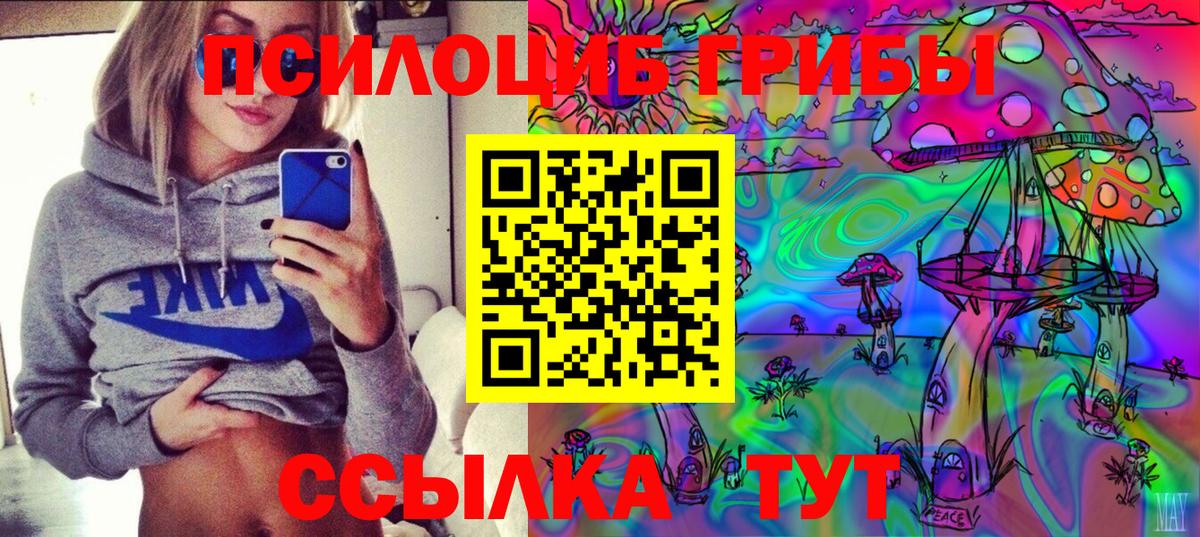 Галлюциногенные грибы Cubensis  Псилоцибиновые грибы Psilocybe  Краснознаменск  Вход с VPN 