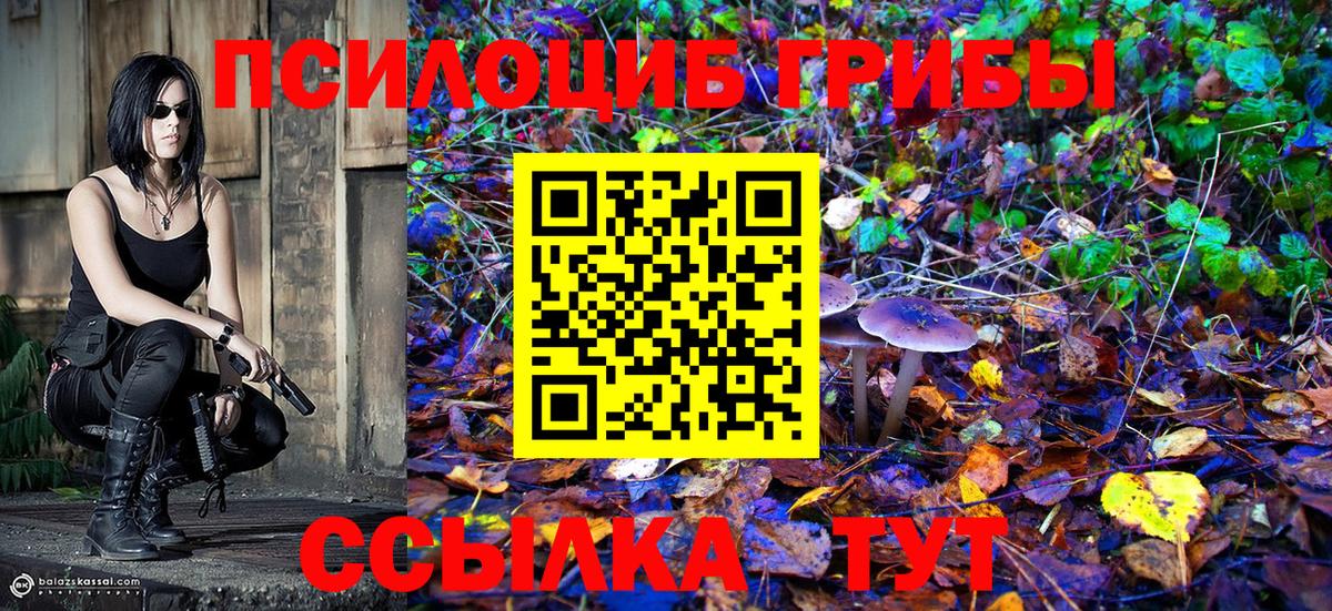 Псилоцибиновые грибы мицелий Краснознаменск